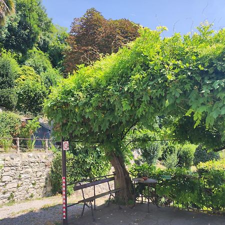Villa Antonella, App. Vittoria Tavernerio Eksteriør bilde