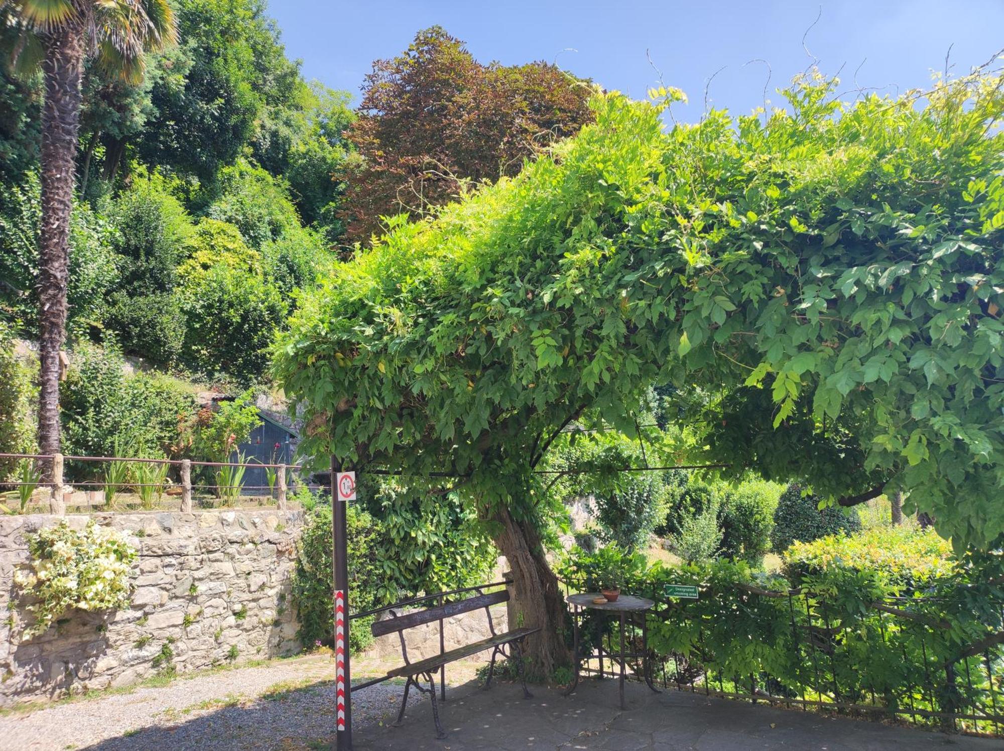 Villa Antonella, App. Vittoria Tavernerio Eksteriør bilde